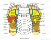 Mapy stóp i dłoni